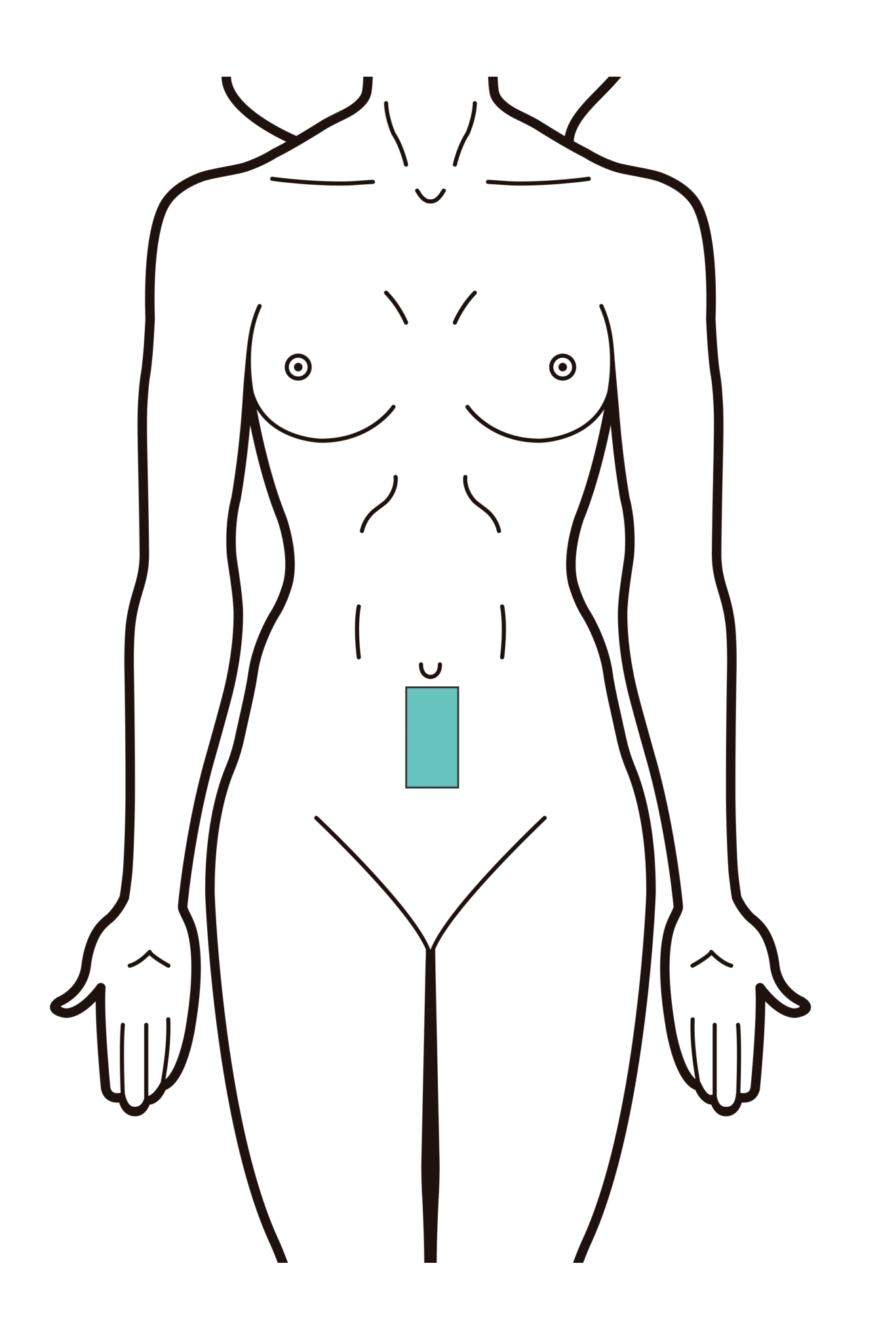 Linha Abdominal - Pacote 10S - Promocional
